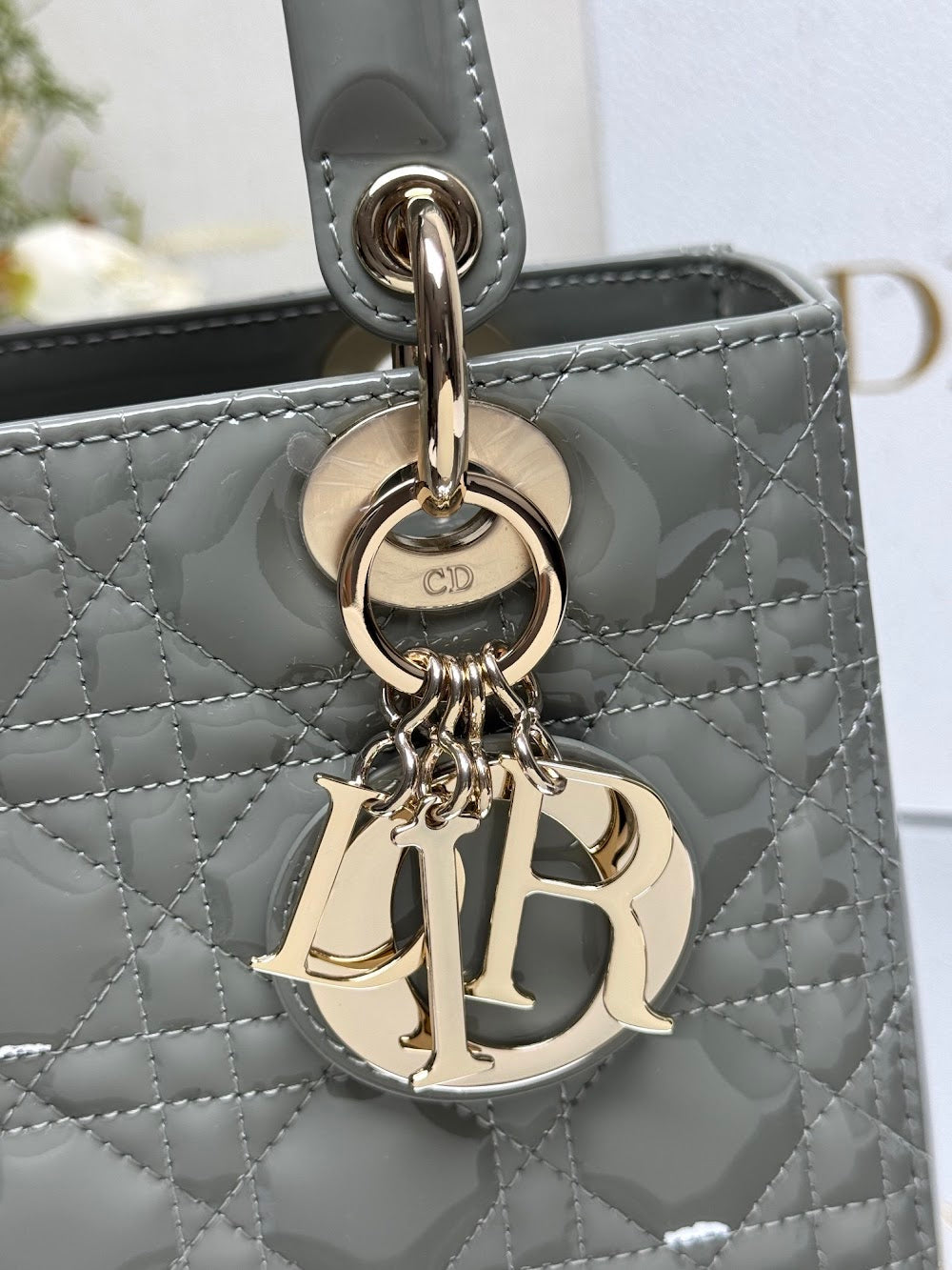 Dragons BagsDiorn Luxury Bag --116024