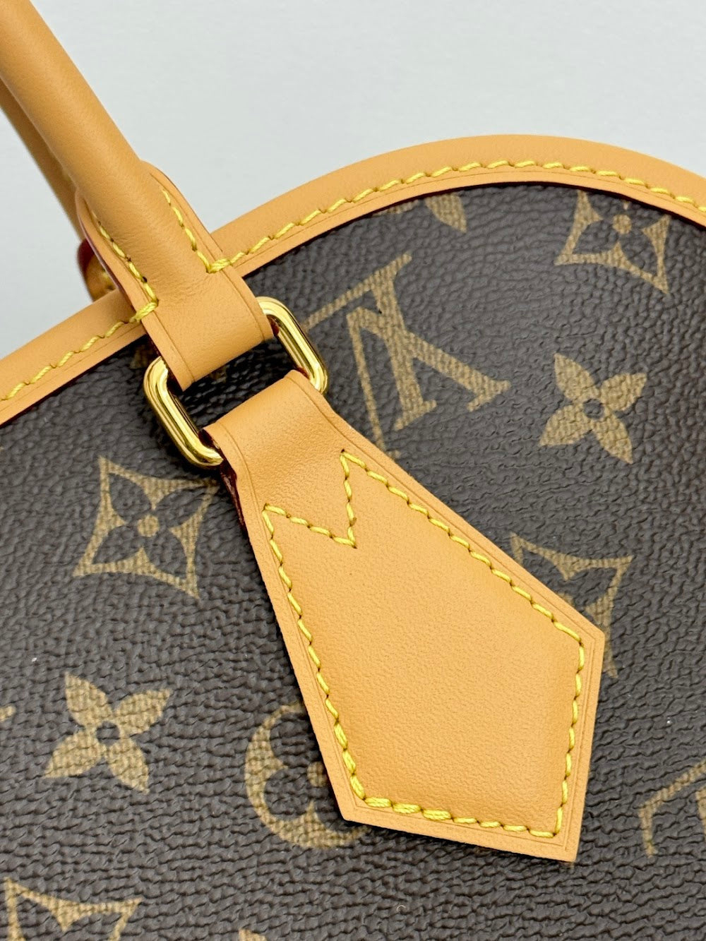 Dragons Bags ln Luxury Bag --96280