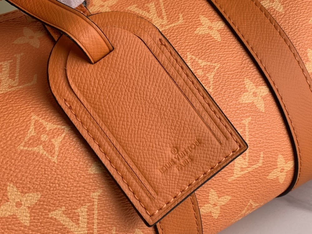 Dragons Bags ln Luxury Bag --68880
