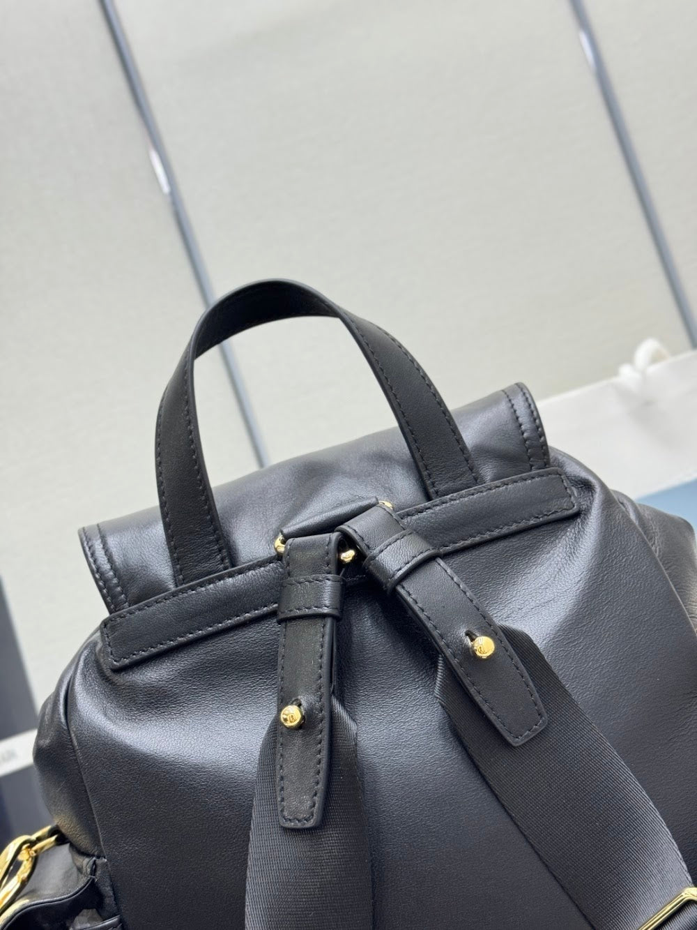 Dragons Bags Pradn Luxury Bag --101373