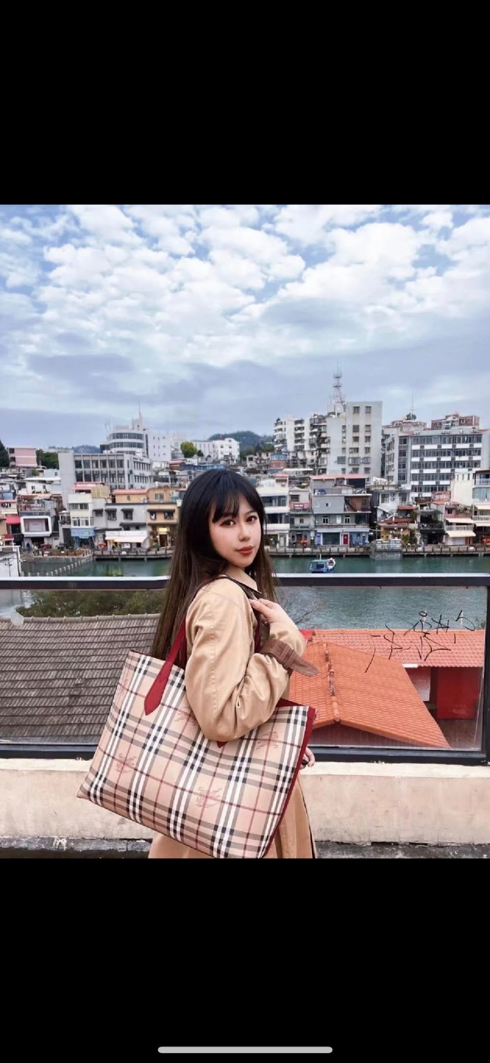 Dragons Bags Burberryn Luxury Bag --91686