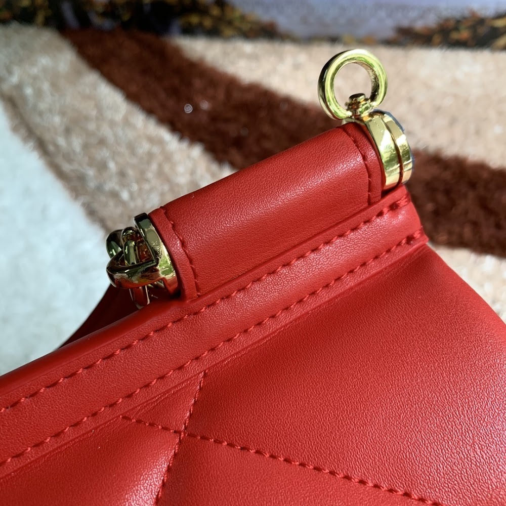 Dragons Bags DGn Luxury Bag --93216