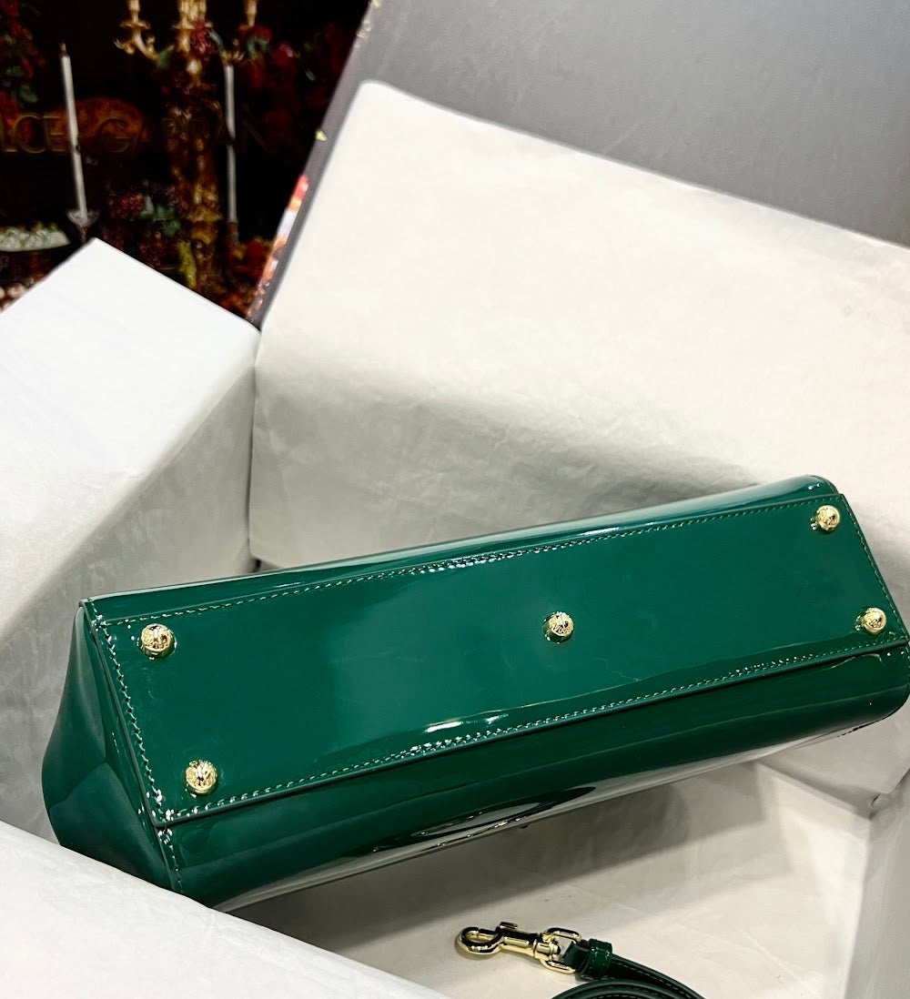 Dragons Bags DGn Luxury Bag --93293