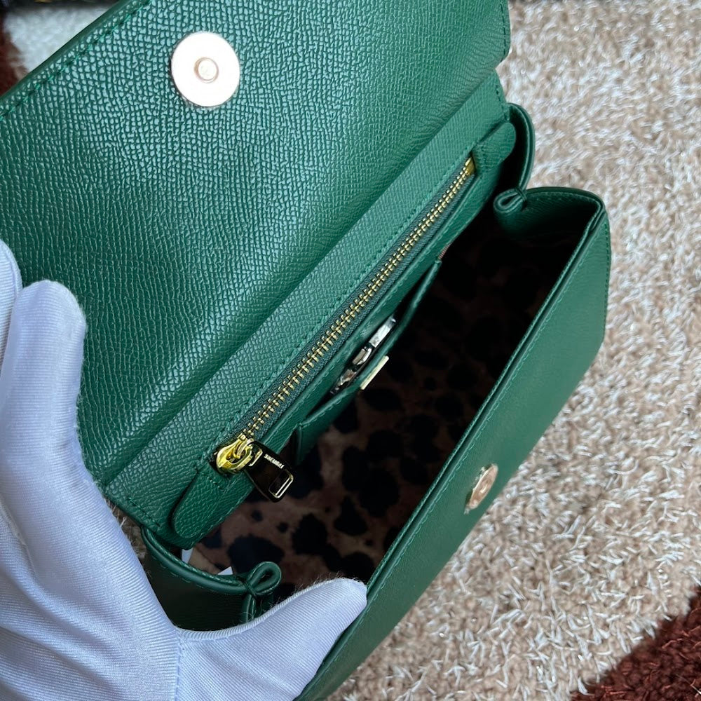 Dragons Bags DGn Luxury Bag --94008
