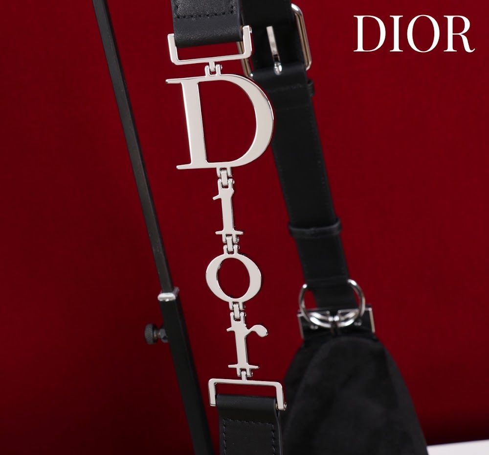 Dragons BagsDiorn Luxury Bag --115360