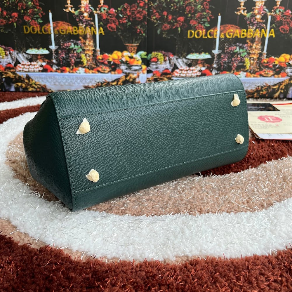 Dragons Bags DGn Luxury Bag --94127