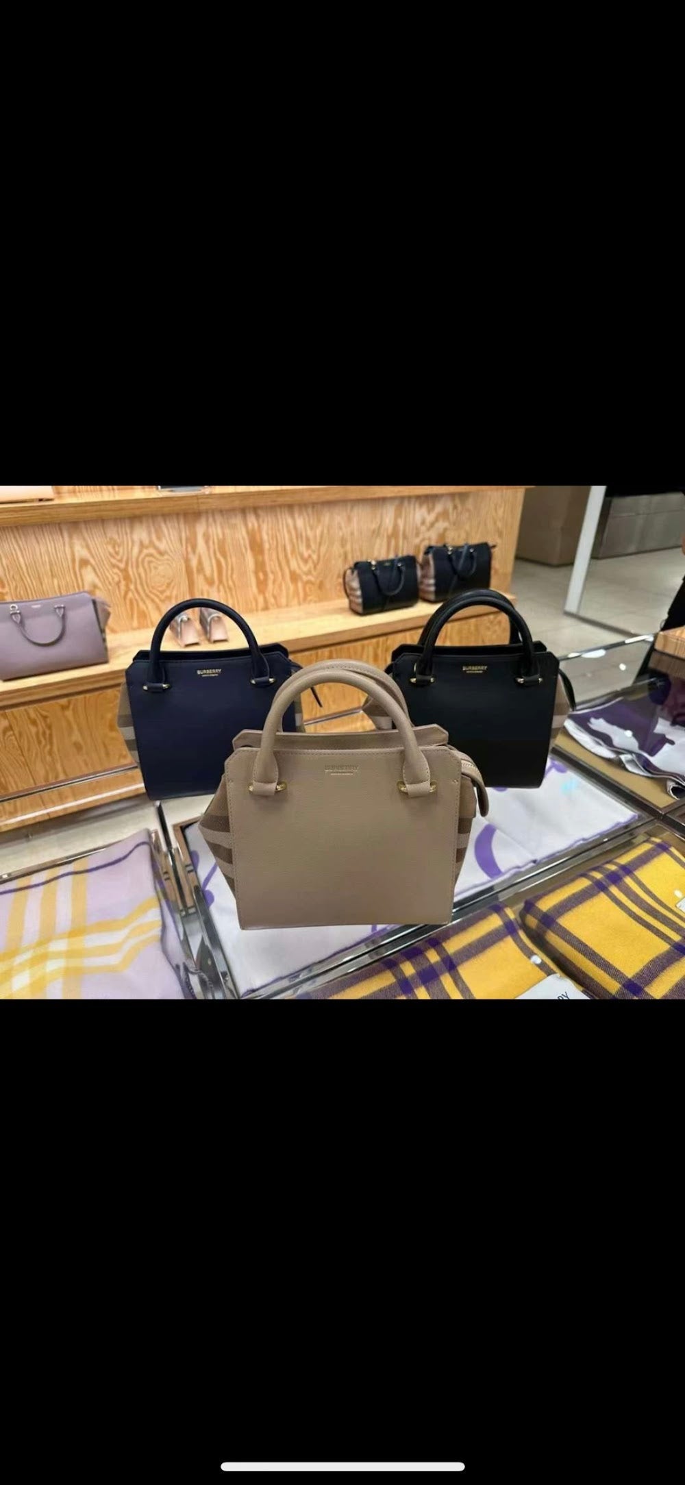 Dragons Bags Burberryn Luxury Bag --92050