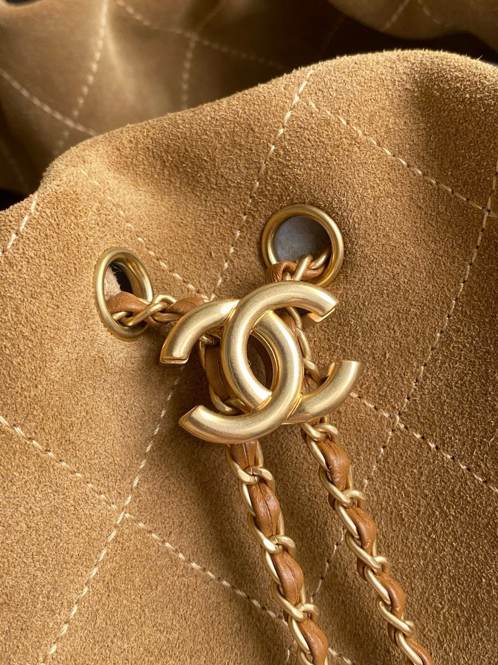 Dragons BagsCHn Luxury Bag --114102