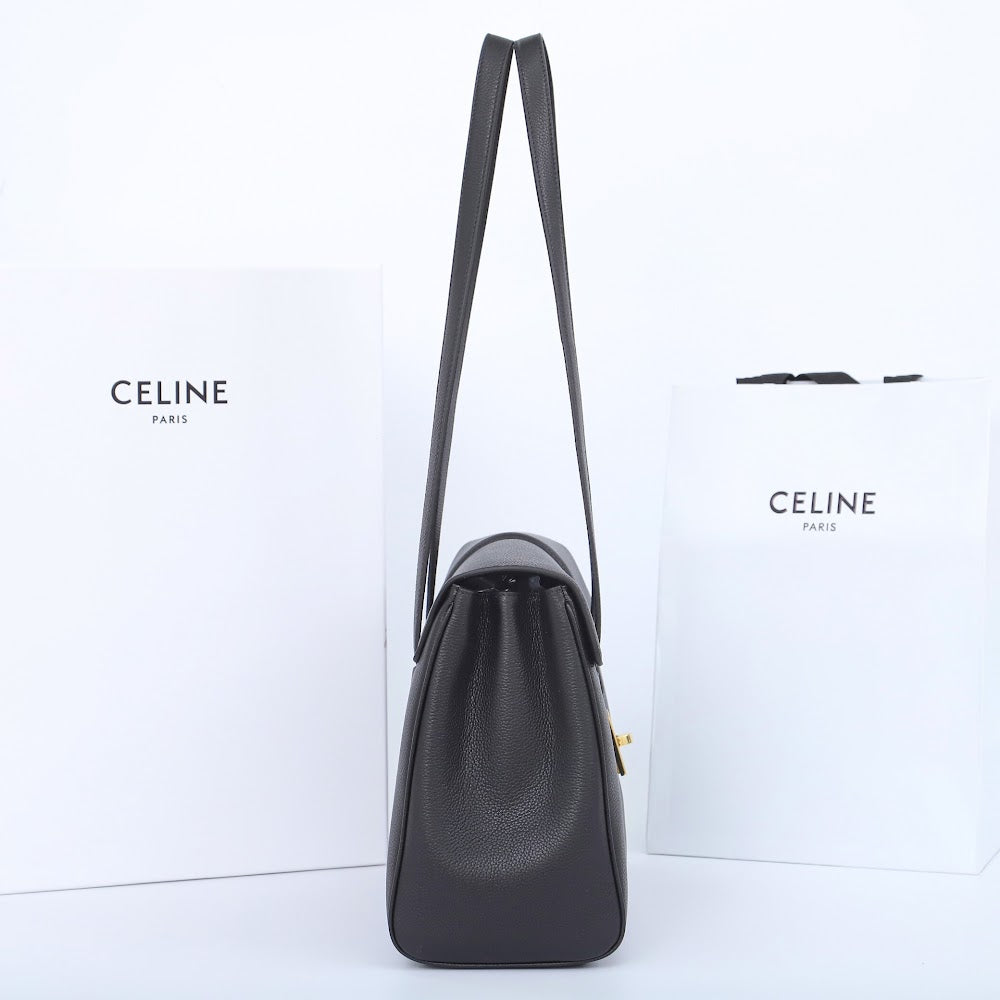 Dragons Bags Celine Luxury Bag --112373