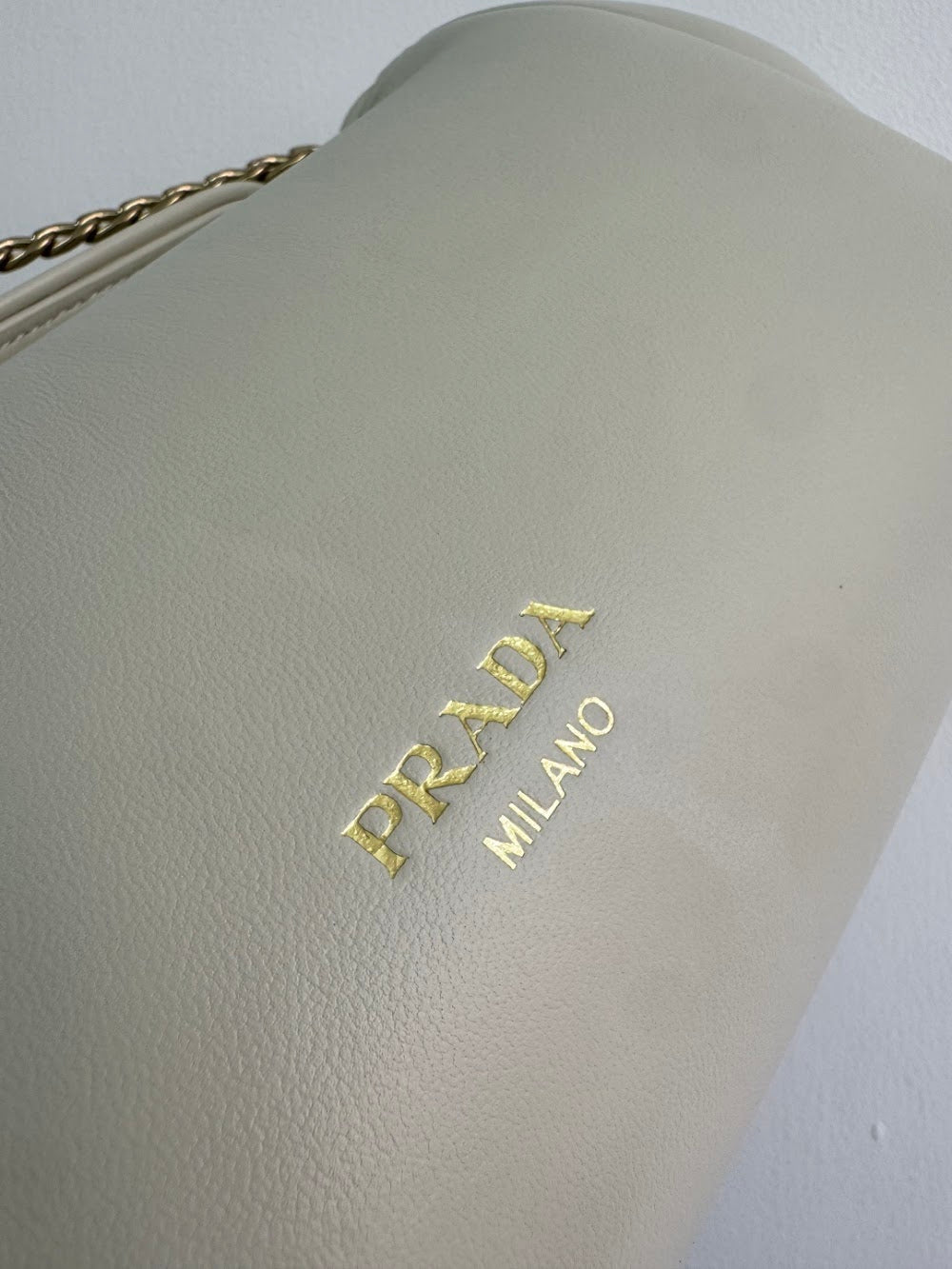 Dragons Bags Pradn Luxury Bag --101615