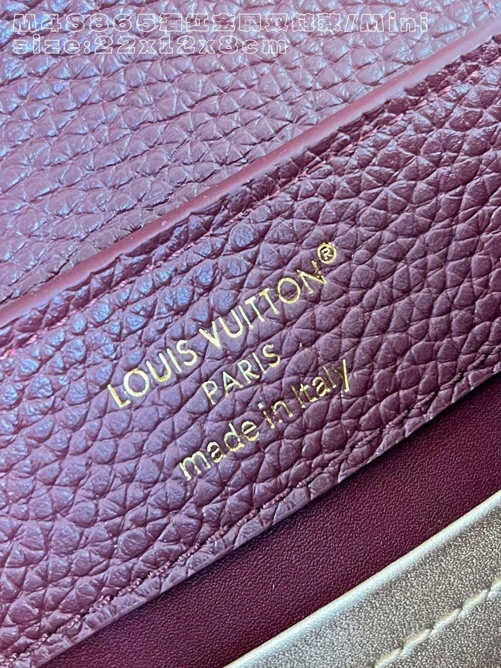 Dragons Bags ln Luxury Bag --95855