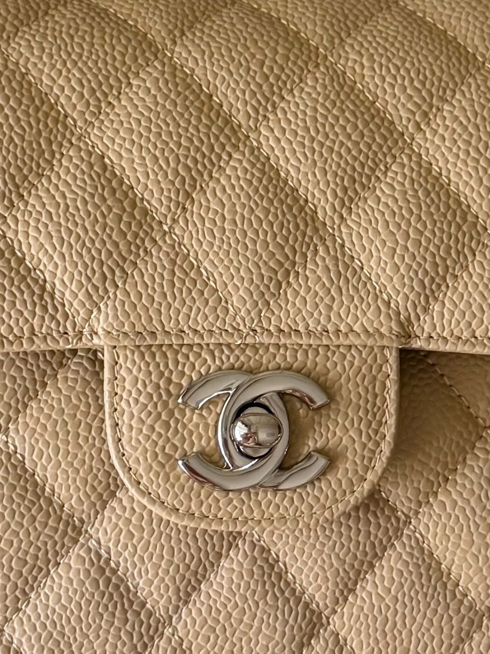 Dragons BagsCHn Luxury Bag --114035