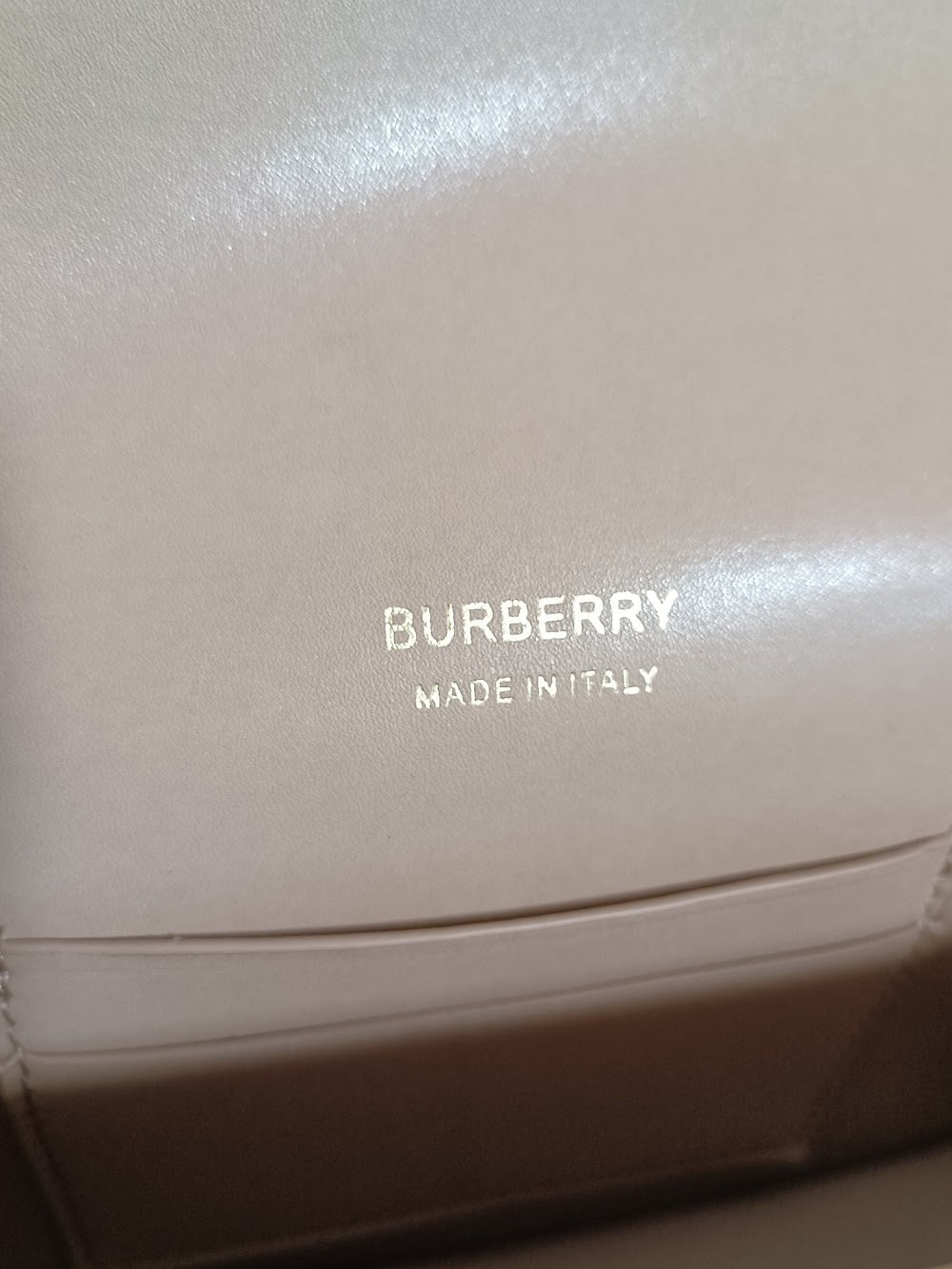 Dragons Bags Luxury Bag --50181