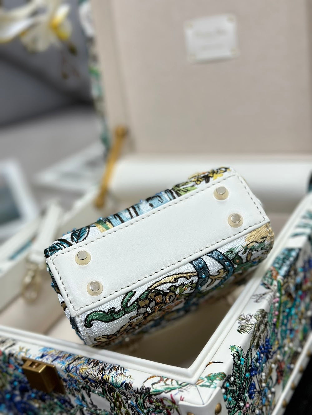 Dragons BagsDiorn Luxury Bag --114460