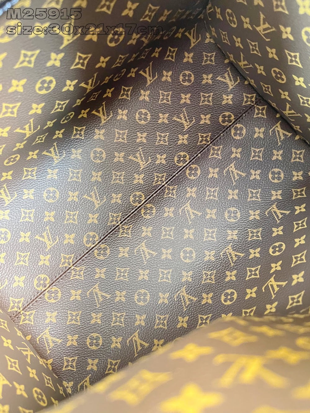 Dragons Bags ln Luxury Bag --95735