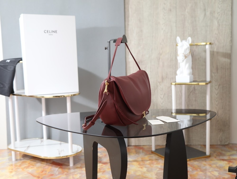 Dragons Bags Celine Luxury Bag --112658