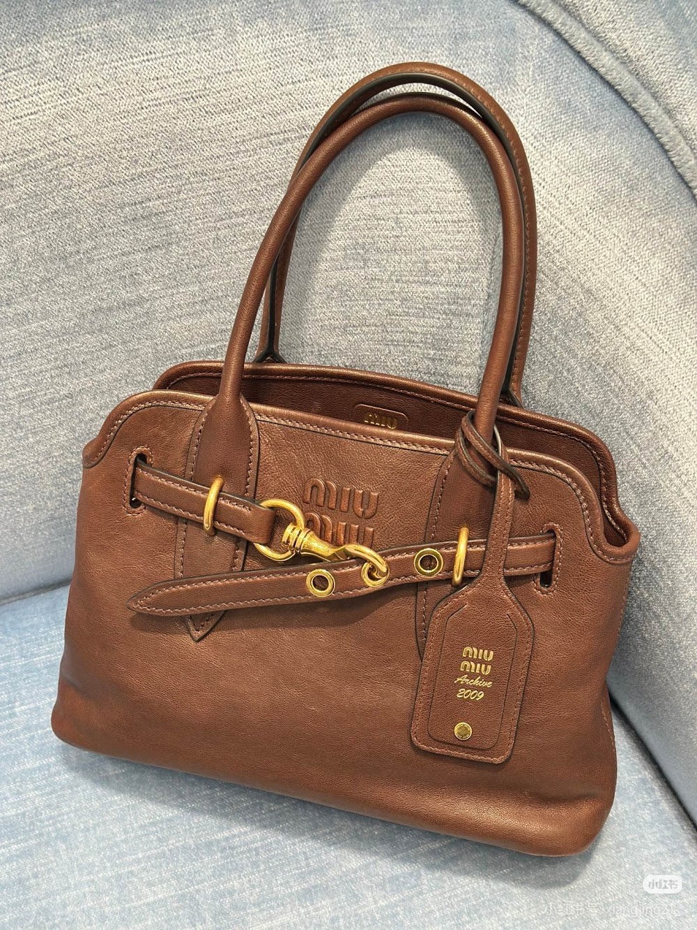 Dragons Bags Miun Miun Luxury Bag --122976