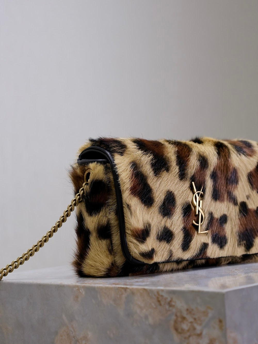 Dragons Bags YSLn Luxury Bag --119359