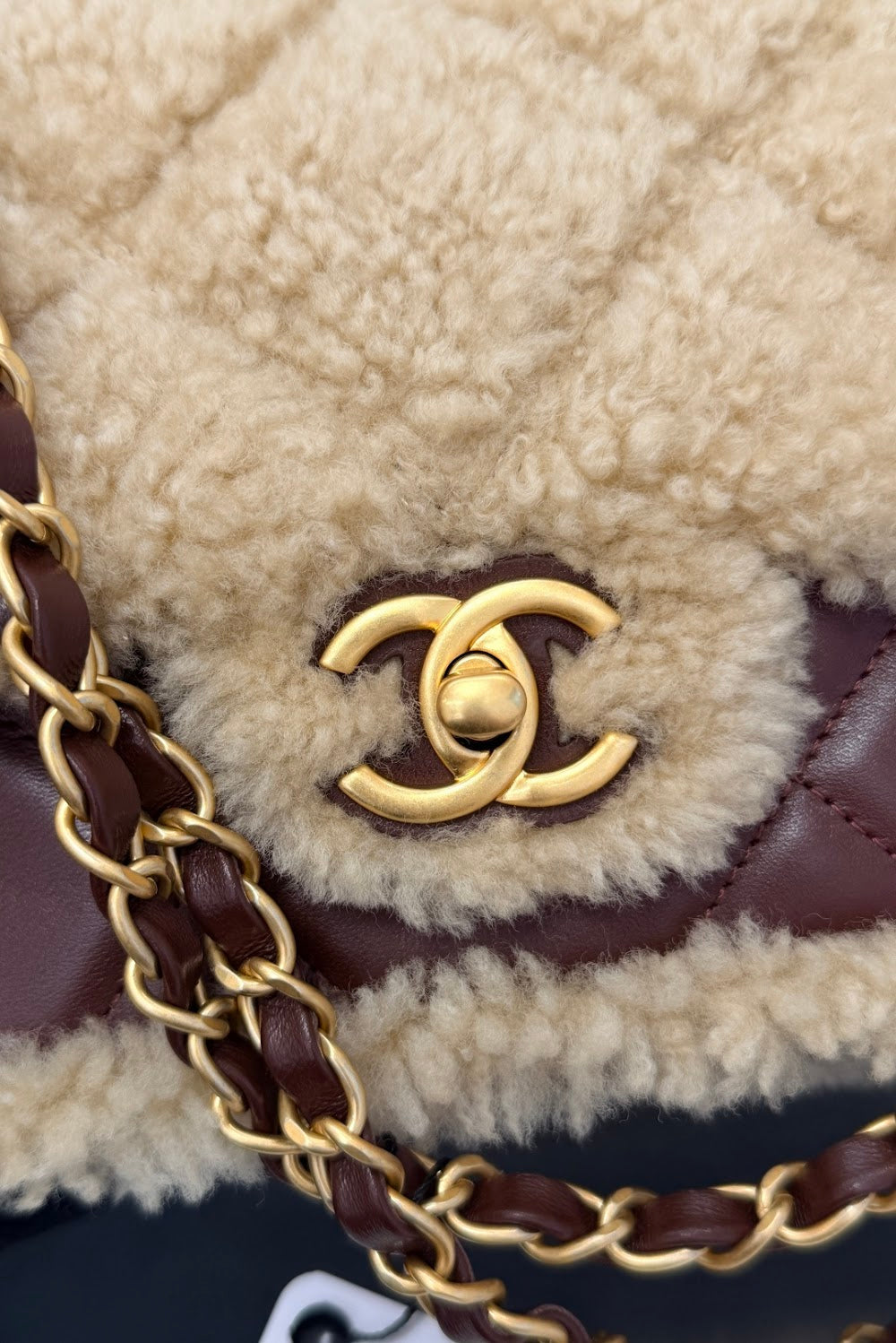 Dragons Bags CHn Luxury Bag --112845