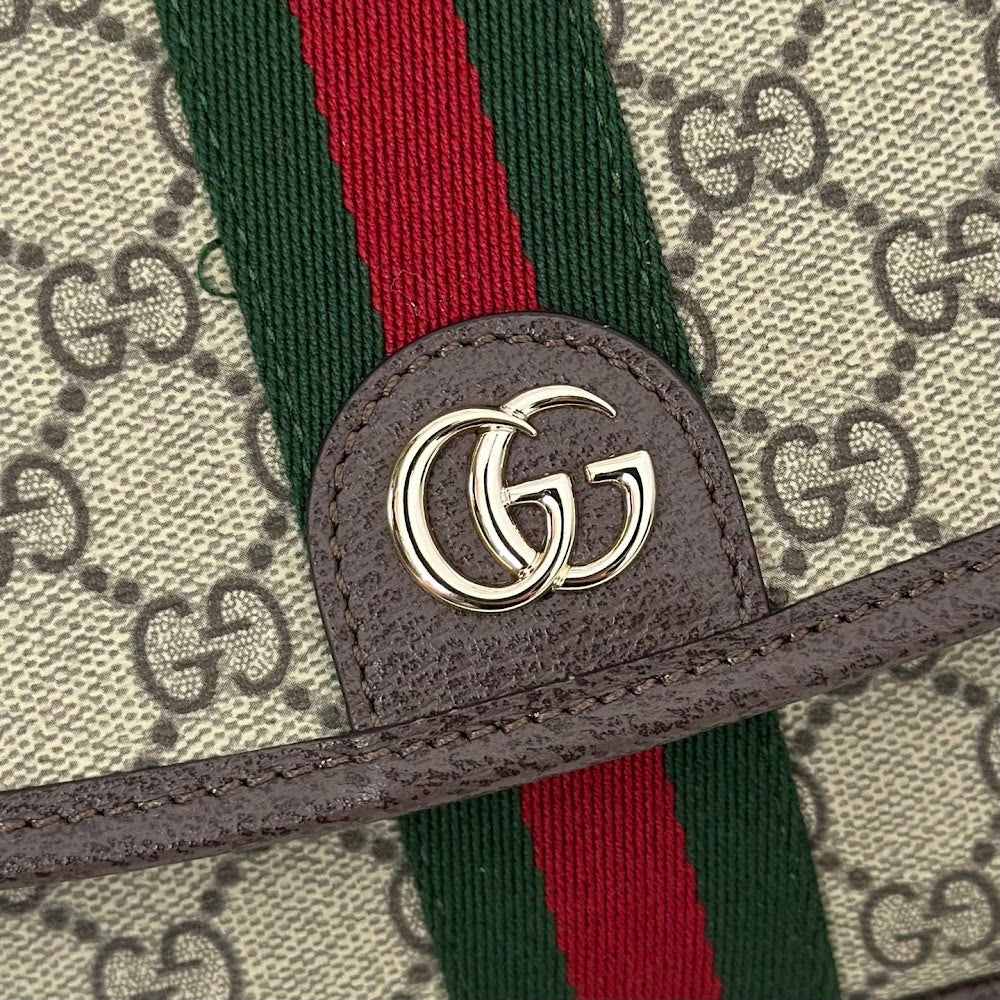 Dragons Bags Guccin Luxury Bag --95523