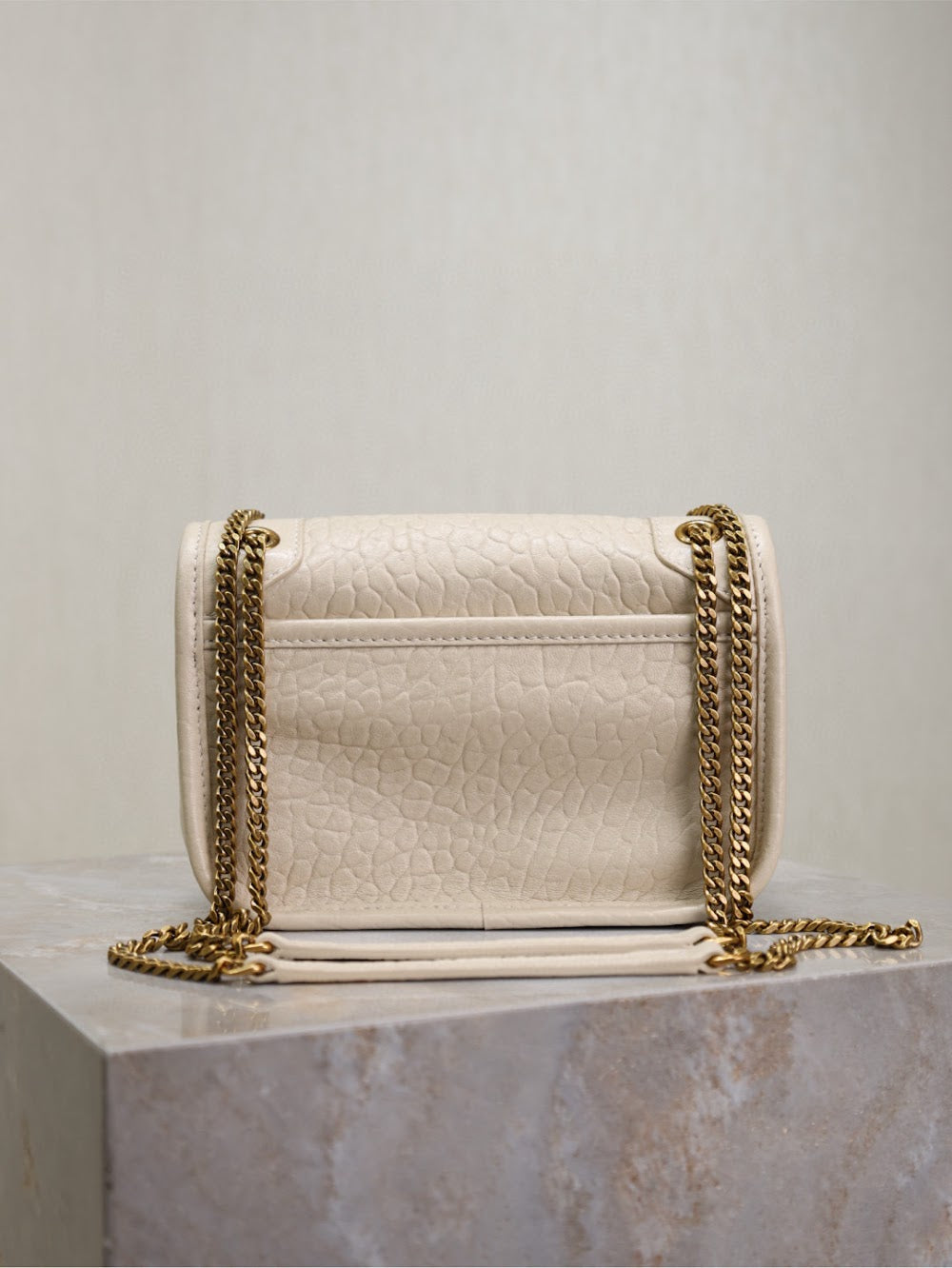 Dragons Bags YSLn Luxury Bag --119698