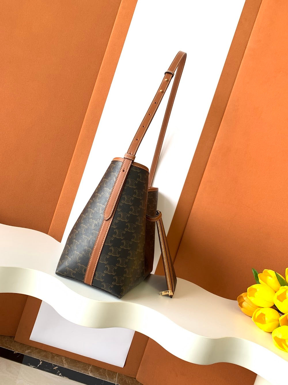 Dragons Bags Celine Luxury Bag --112171