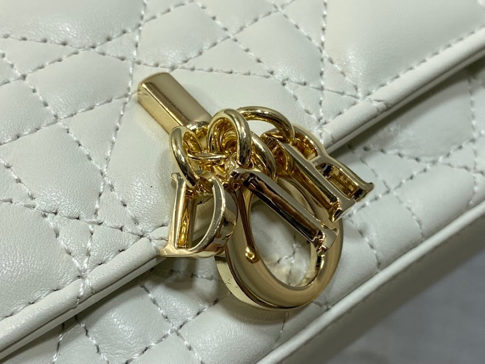 Dragons BagsDiorn Luxury Bag --115100