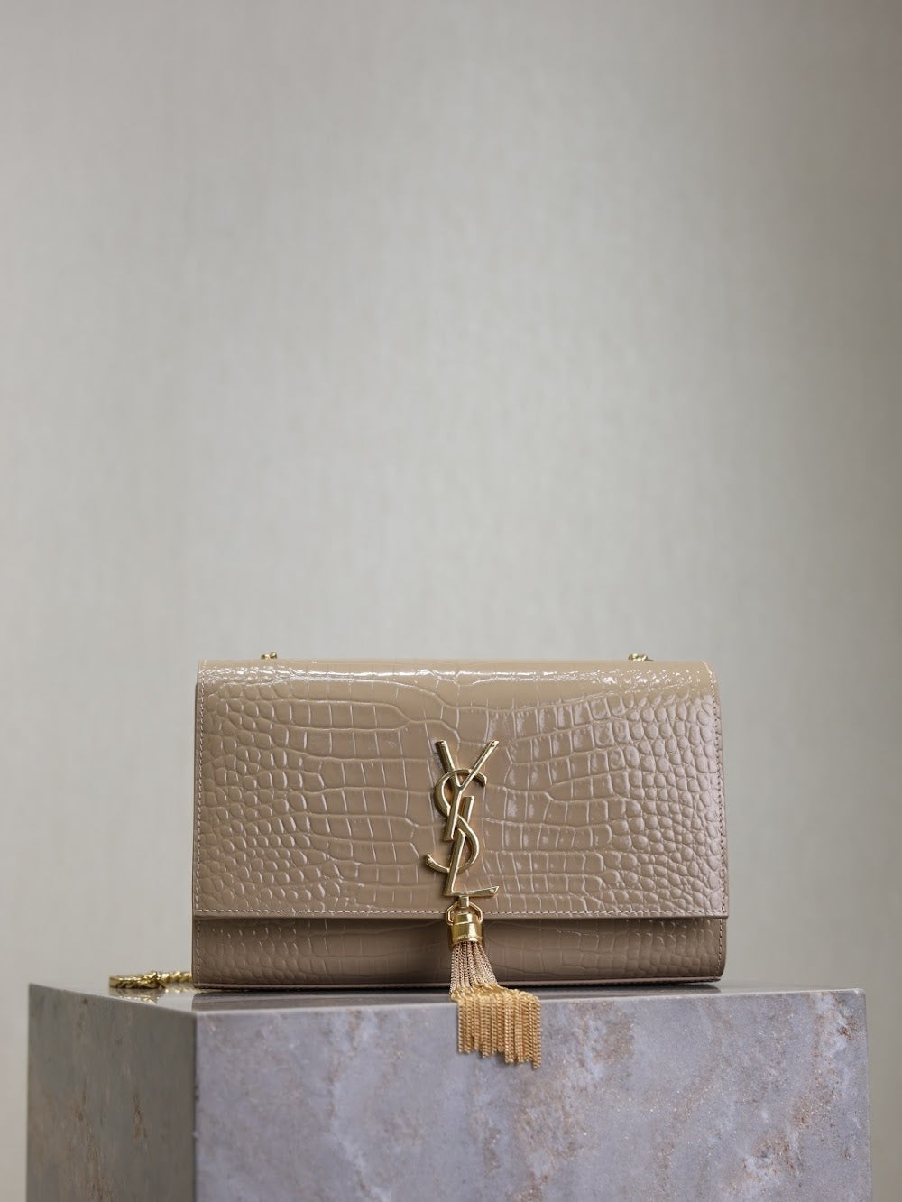 Dragons Bags YSLn Luxury Bag --119160