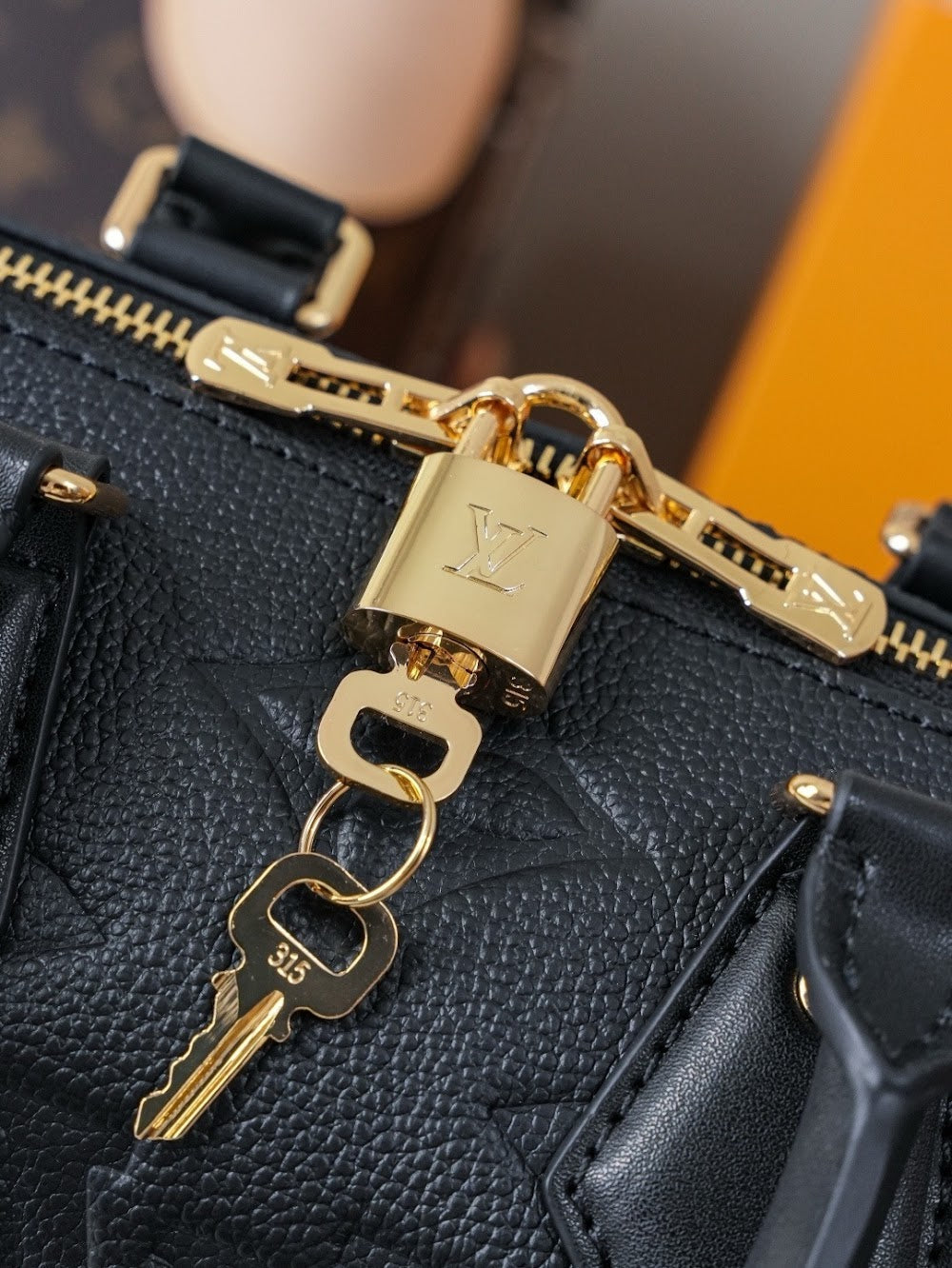 Dragons Bags LVn Luxury Bag --78924
