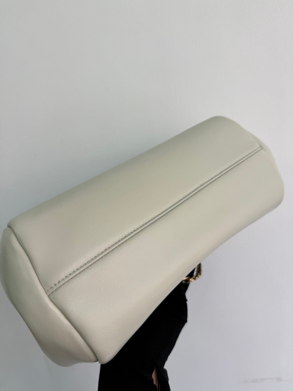 Dragons Bags Pradn Luxury Bag --101615