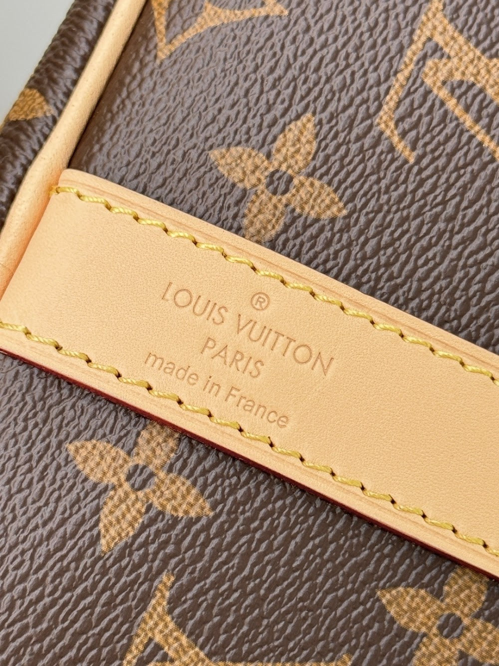 Dragons Bags ln Luxury Bag --96772