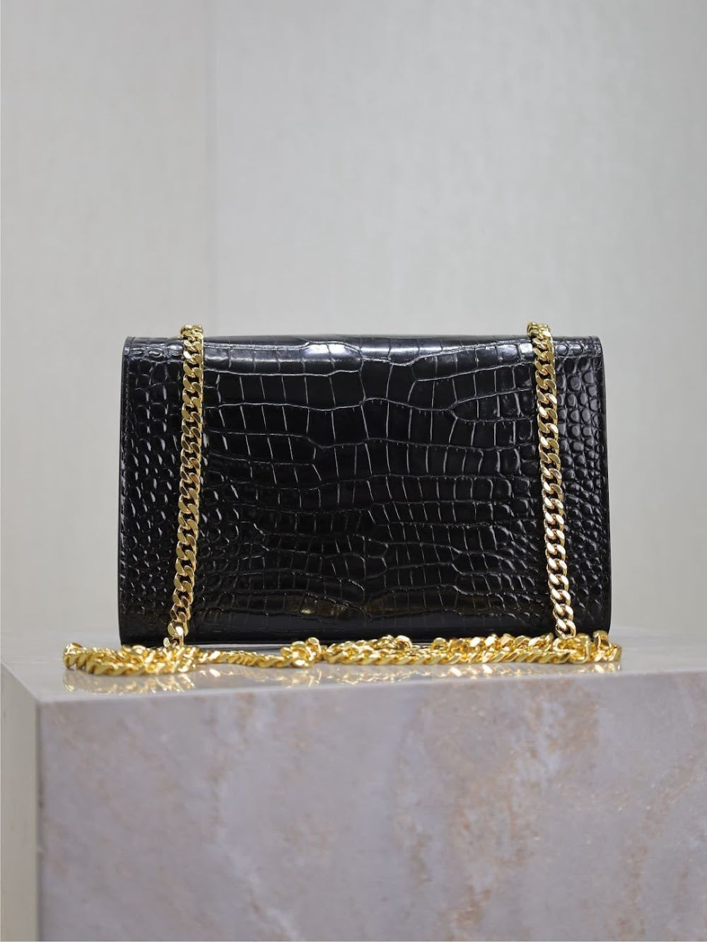 Dragons Bags YSLn Luxury Bag --120526