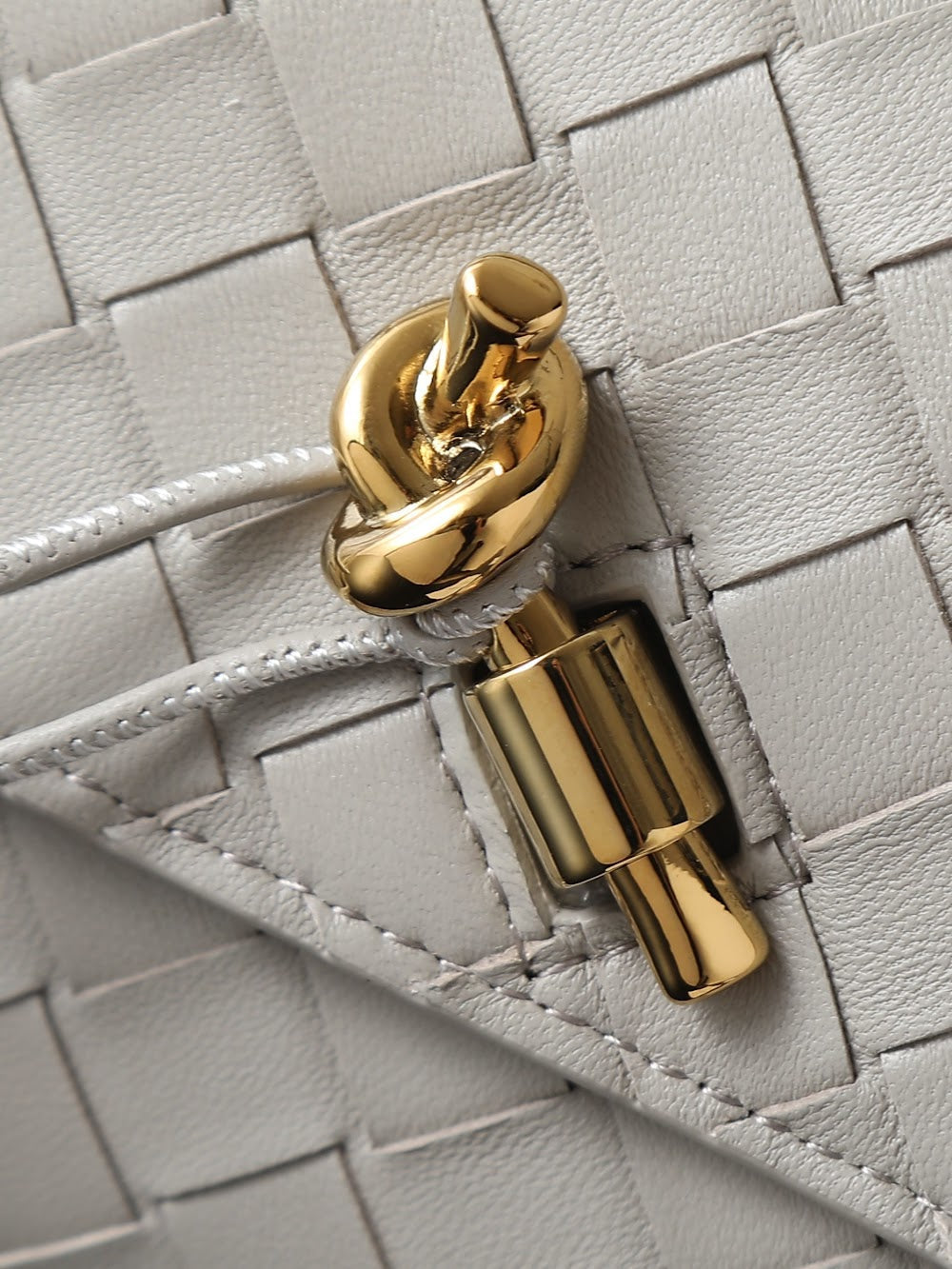 Dragons Bags Bottegan Luxury Bag --91404