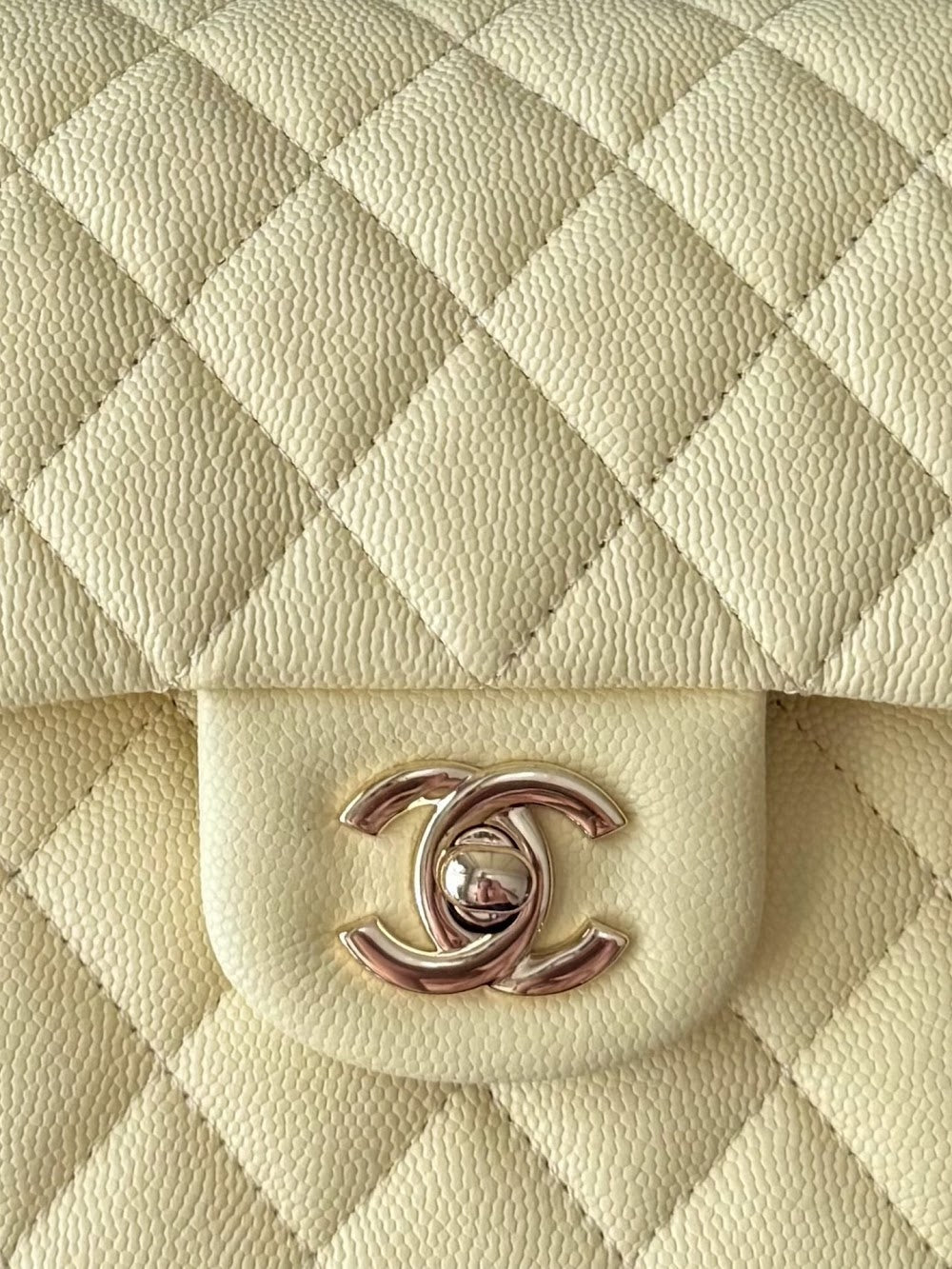 Dragons Bags CHn Luxury Bag --112772