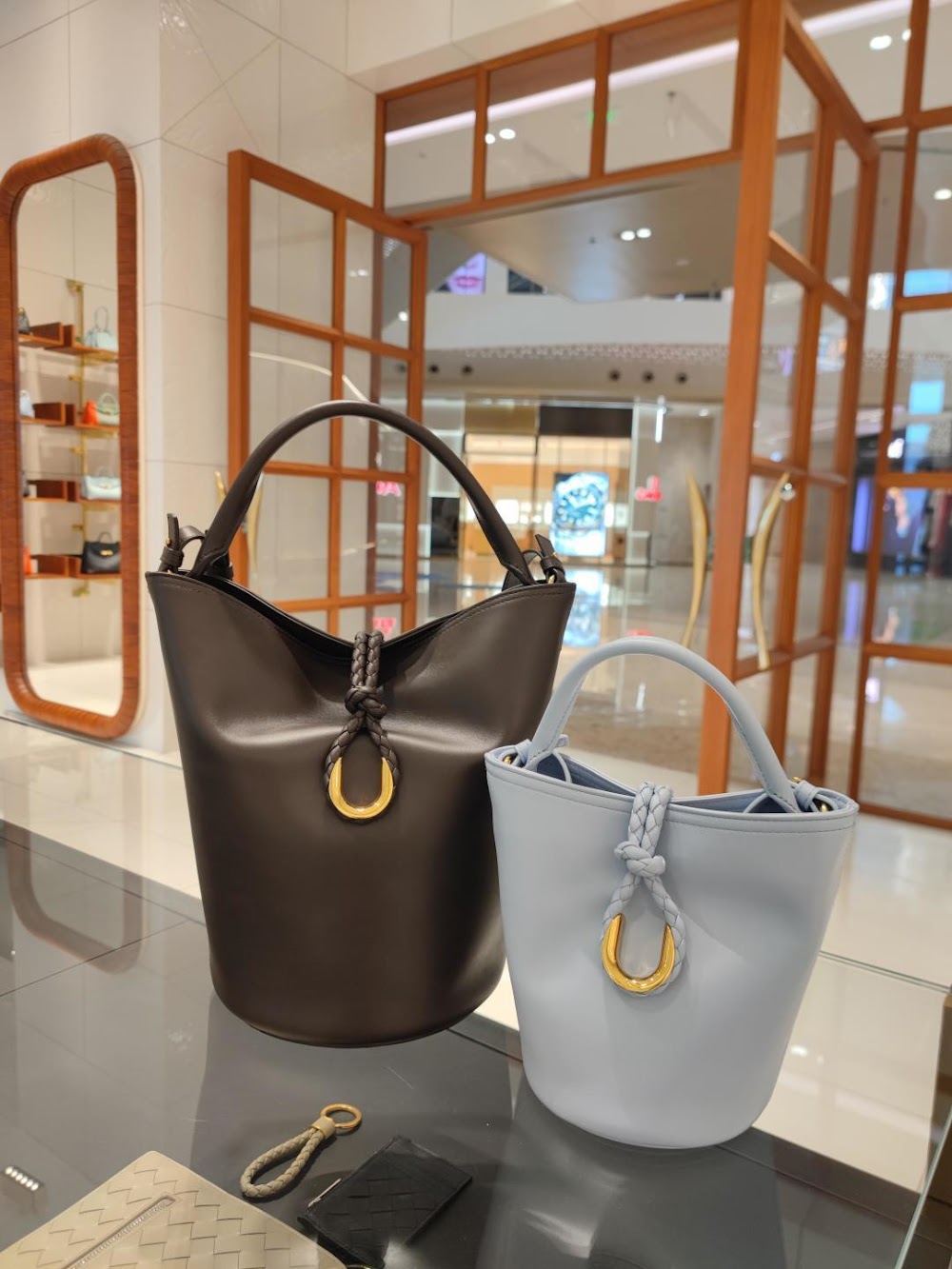 Dragons Bags Bottegan Luxury Bag --90483