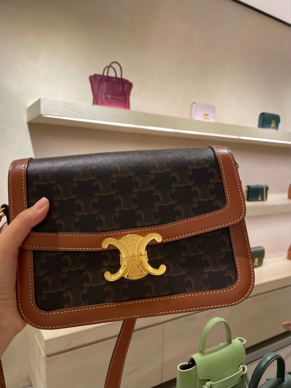 Dragons Bags Celine Luxury Bag --112385