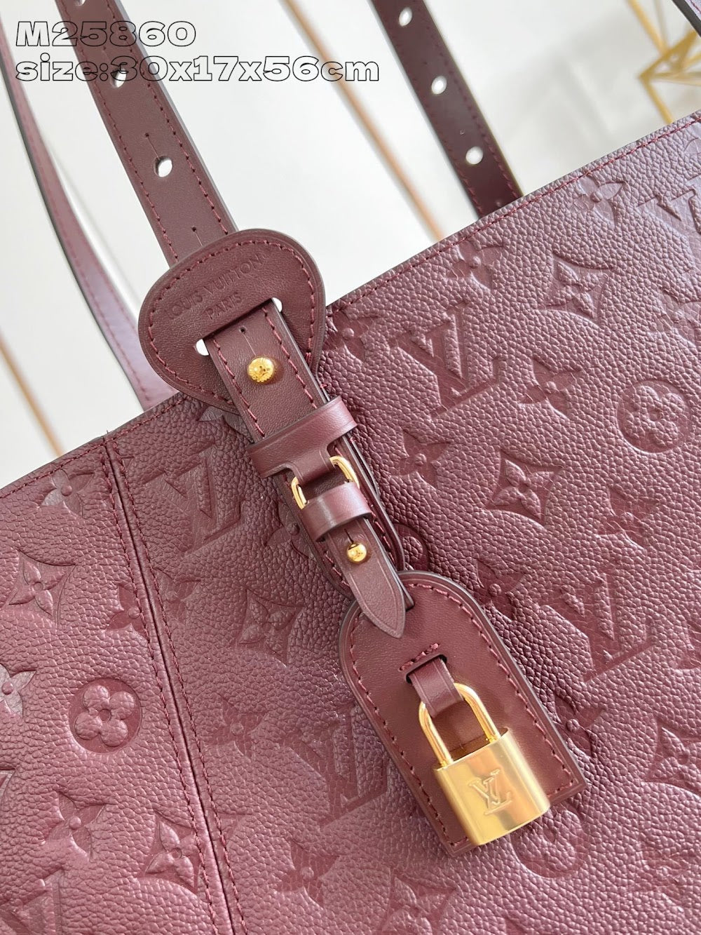 Dragons Bags ln Luxury Bag --96864