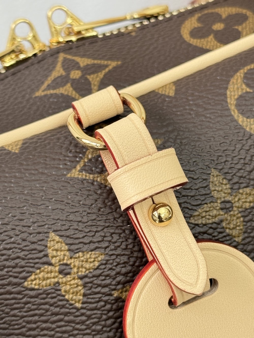 Dragons Bags ln Luxury Bag --96761