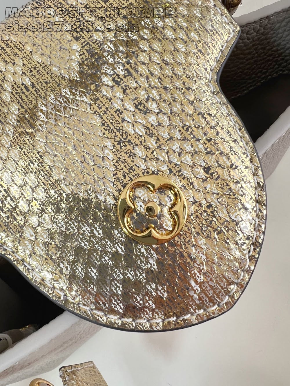 Dragons Bags ln Luxury Bag --95893