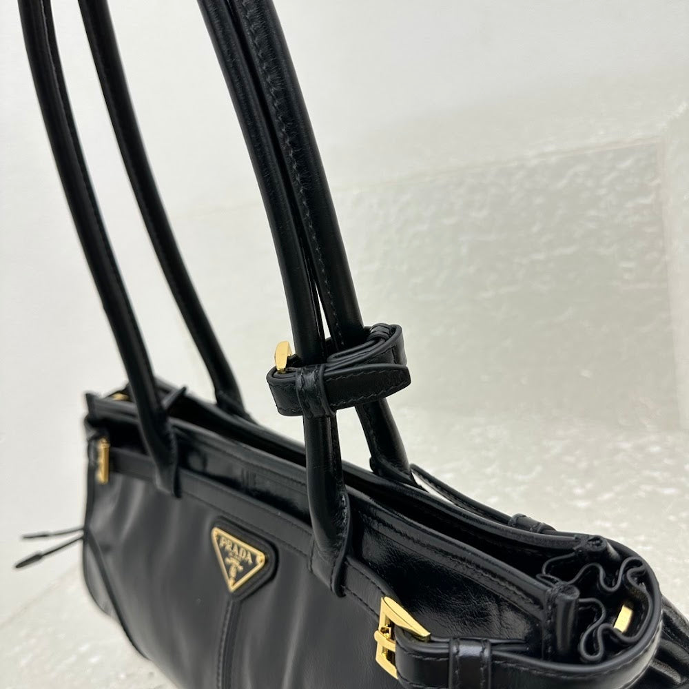 Dragons Bags Pradn Luxury Bag --102002