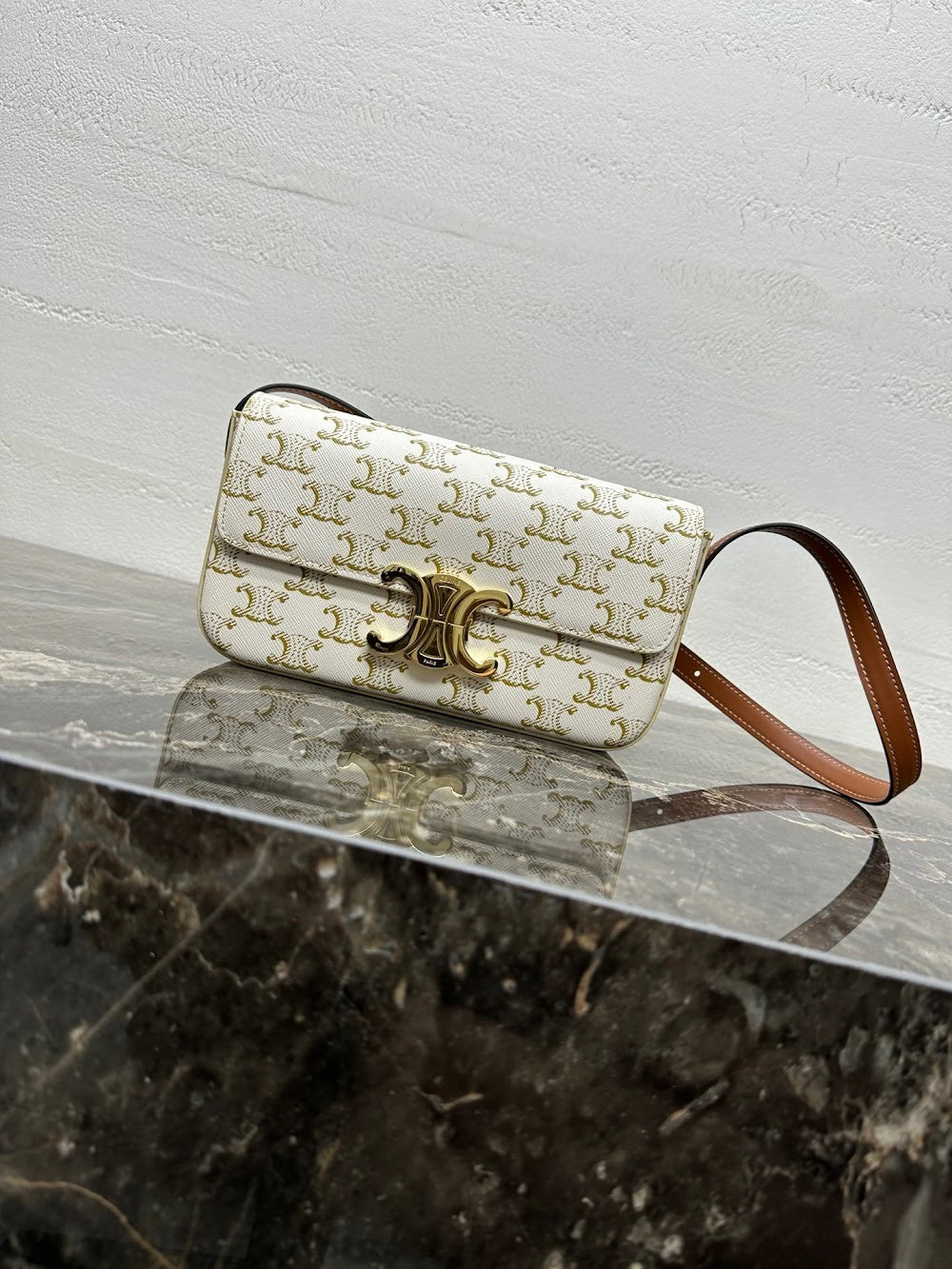 Dragons Bags Celine Luxury Bag --112429