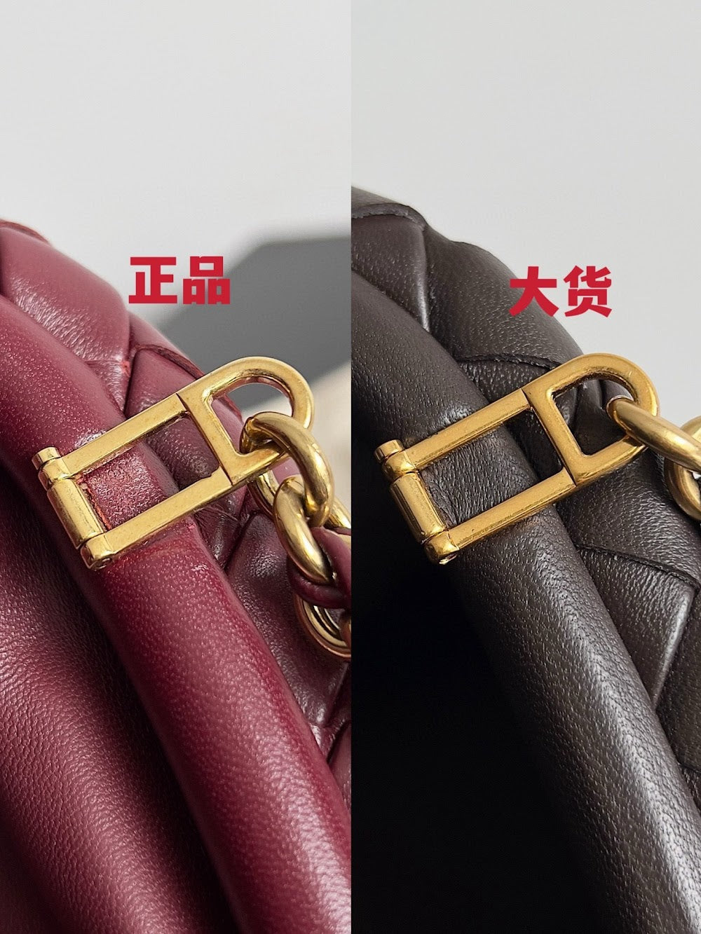 Dragons Bags Bottegan Luxury Bag --91278