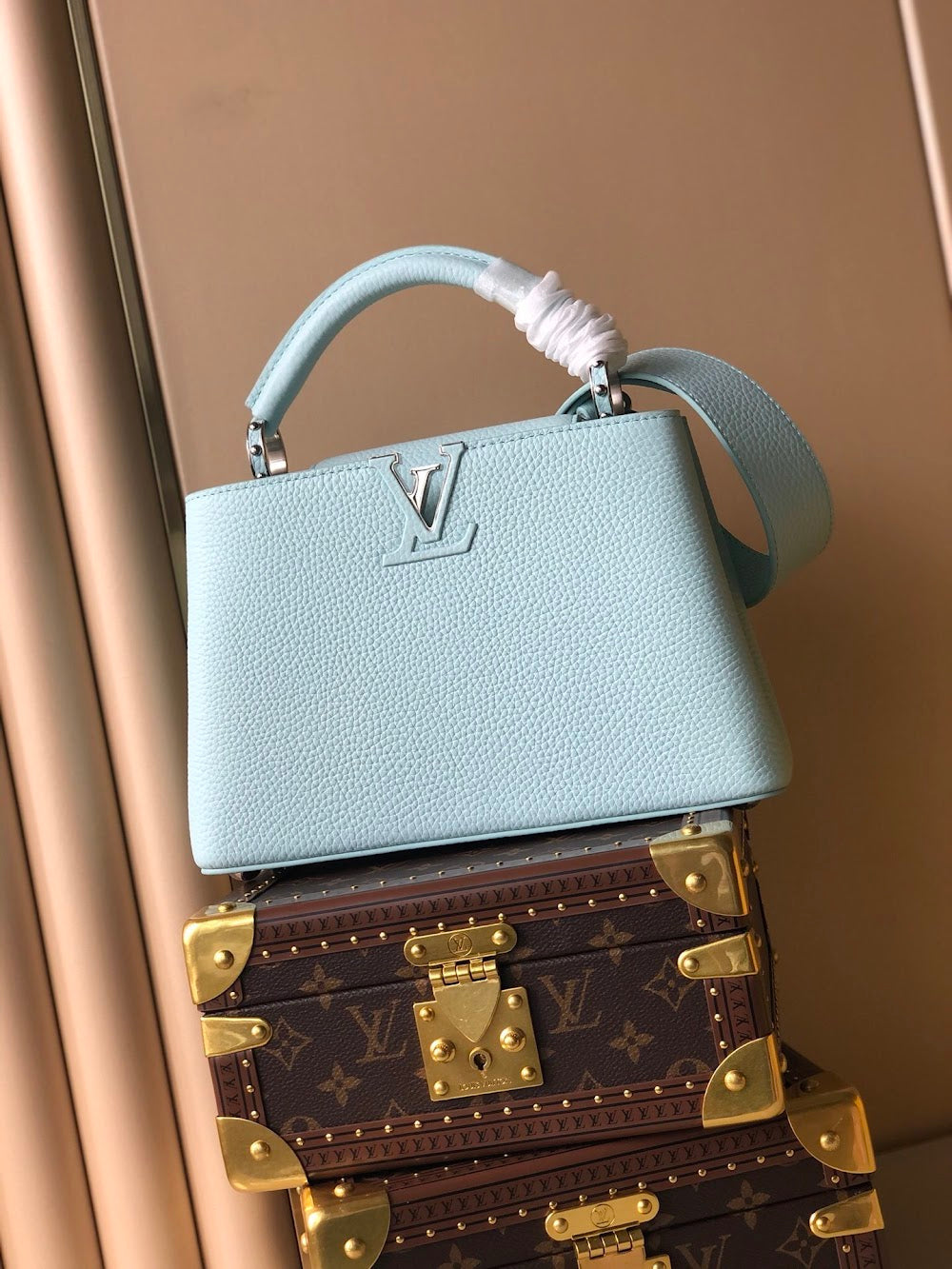 Dragons Bags ln Luxury Bag --66664