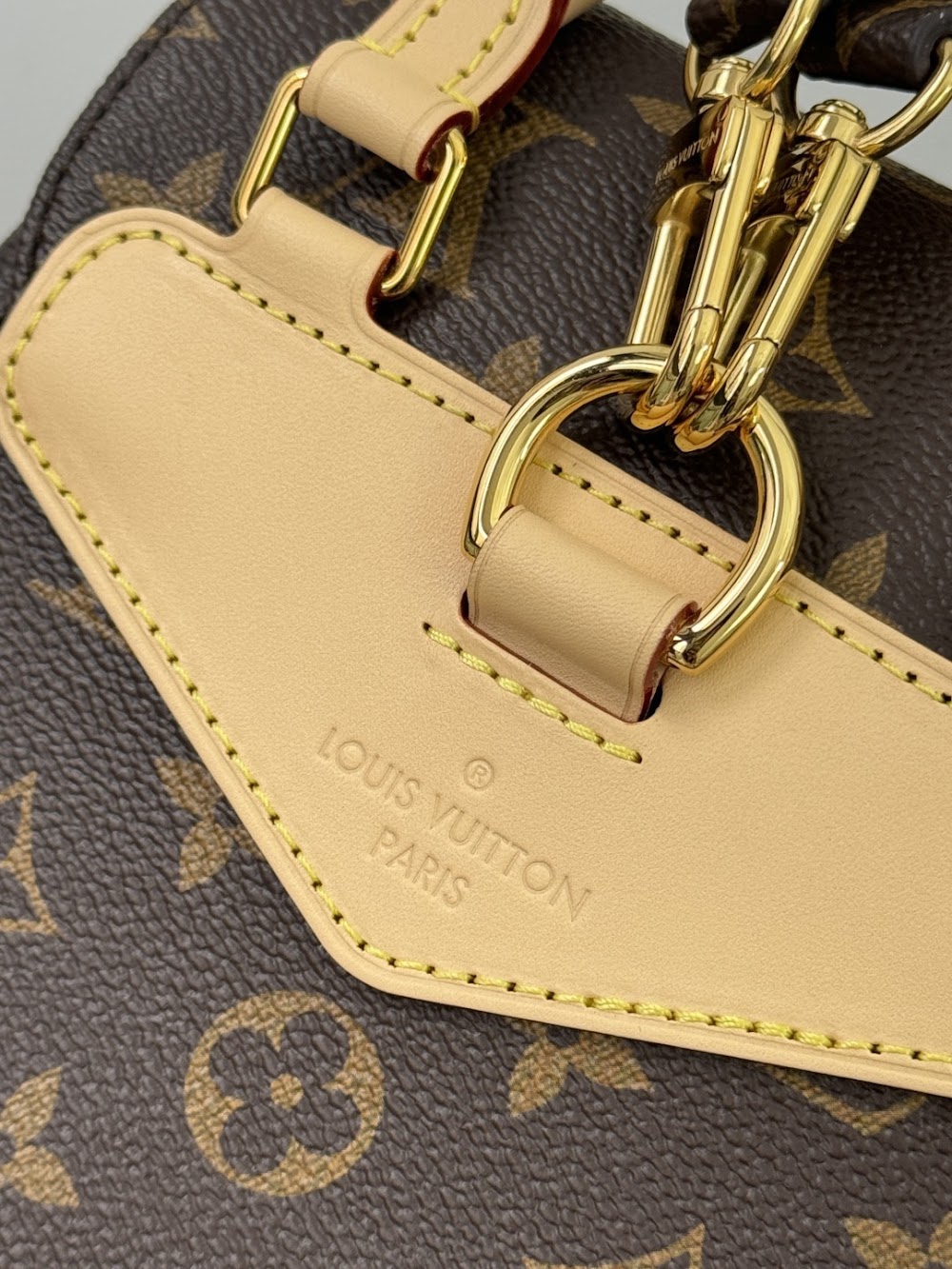 Dragons Bags ln Luxury Bag --97349