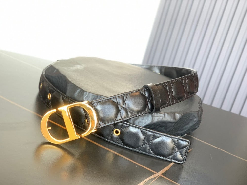 Dragons Bags Diorn Luxury Belt --104992