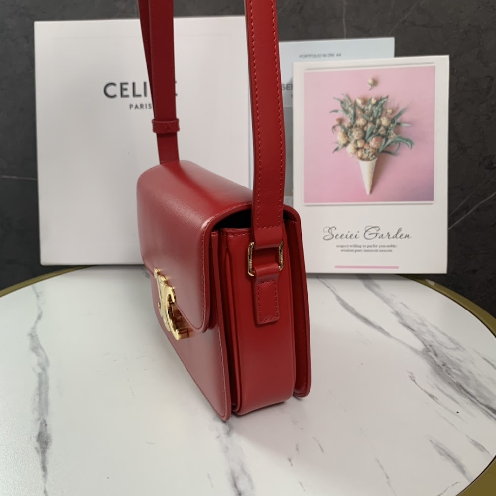 Dragons Bags Celine Luxury Bag --111991