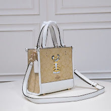 new-designer-premium-bags-nm6395