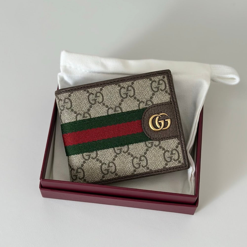 new-designer-premium-bags-nm17303