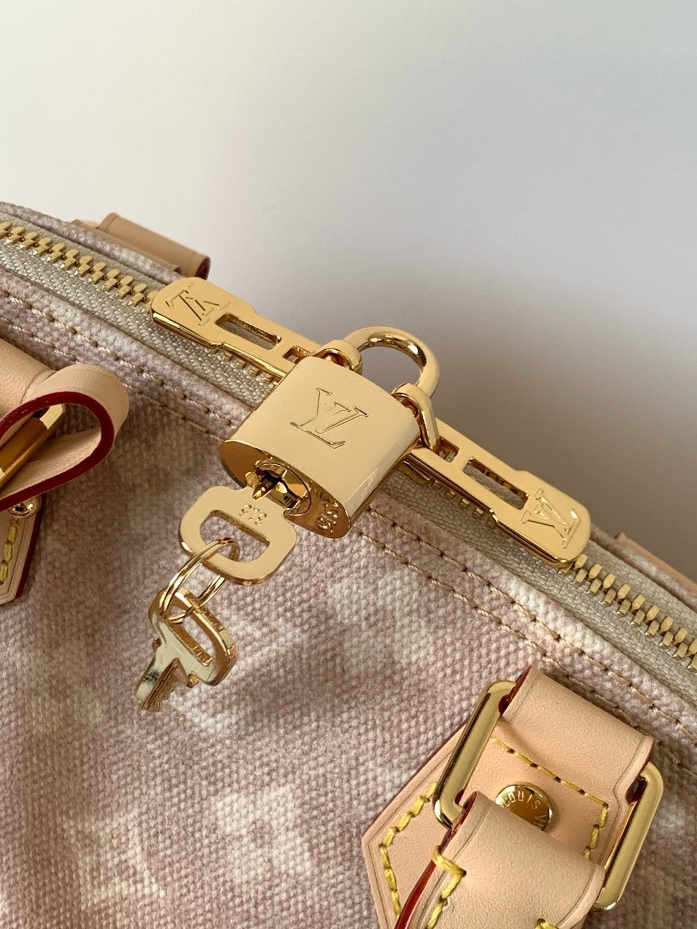 Dragons Bags LVn Luxury Bag --80363