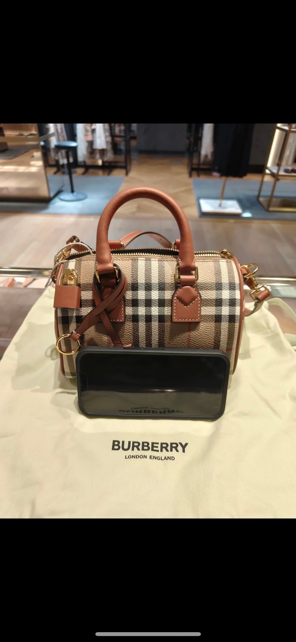 Dragons Bags Burberryn Luxury Bag --92039